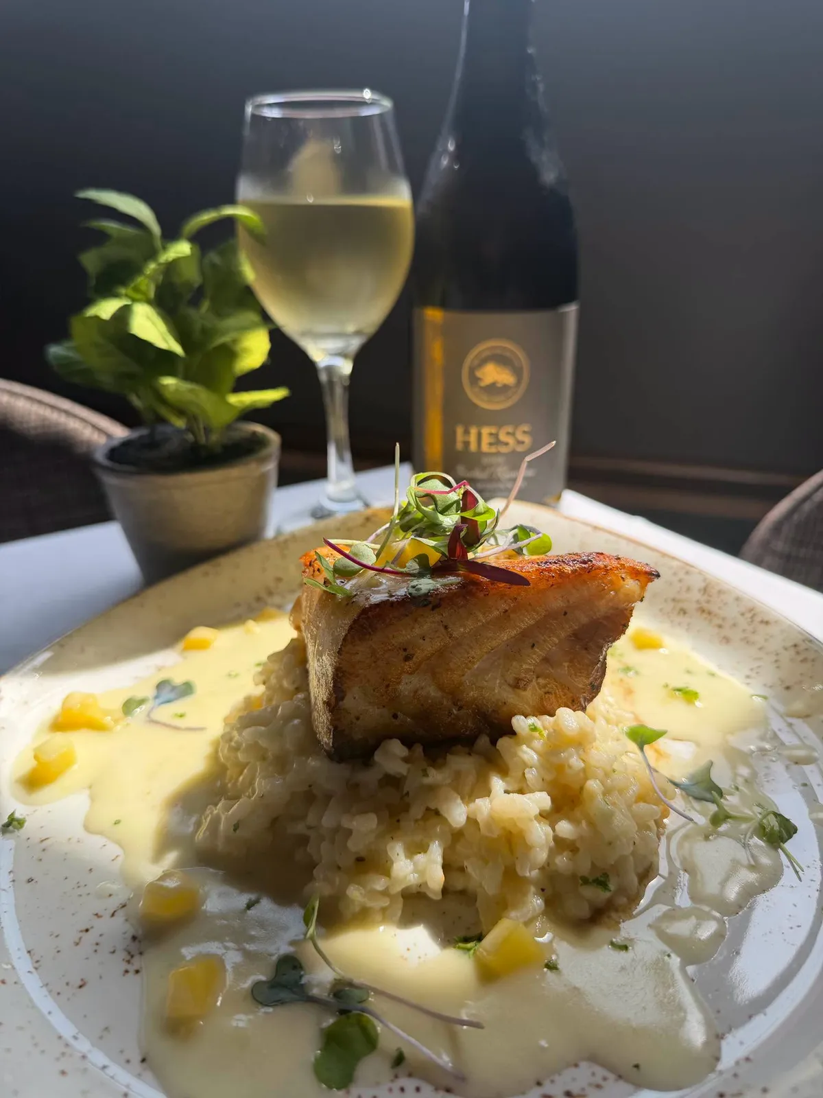 A seared fish fillet over risotto with microgreens, beside a glass of white wine